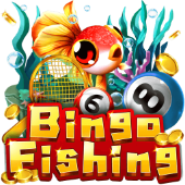 Bingo Fishing jili777 login